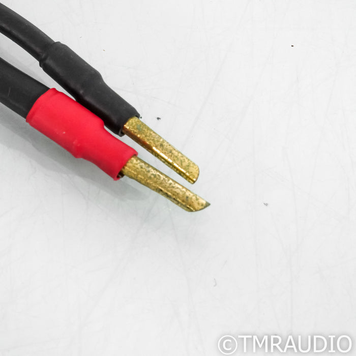 Synergistic Research Element Tungsten W Speaker Cables; 8ft Pair
