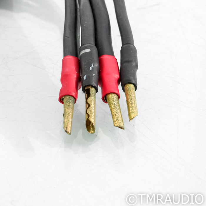 Synergistic Research Element Tungsten W Speaker Cables; 8ft Pair