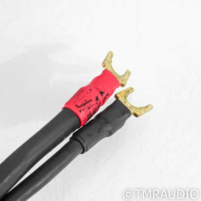 Synergistic Research Element Tungsten W Speaker Cables; 8ft Pair