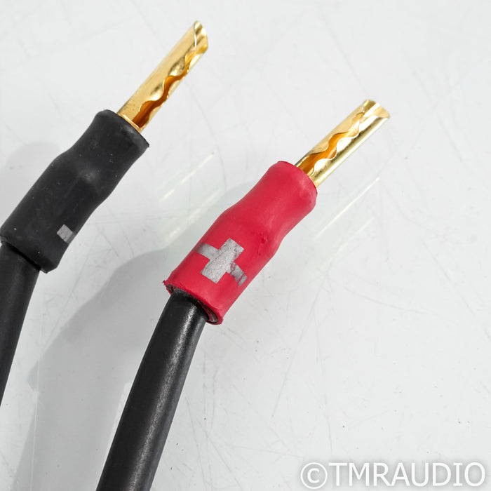 Synergistic Research Atmosphere UEF Level 4 Speaker Cables; 8ft Pair