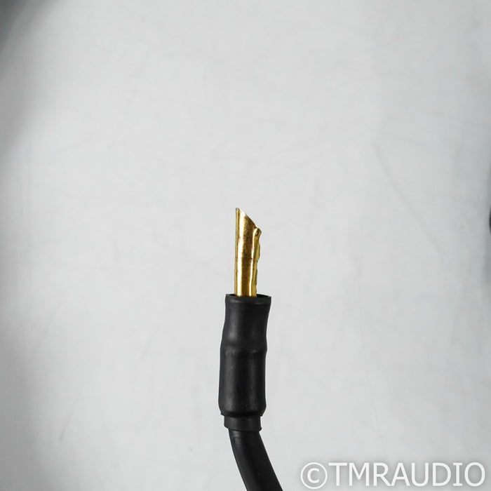 Synergistic Research Atmosphere UEF Level 4 Speaker Cables; 8ft Pair