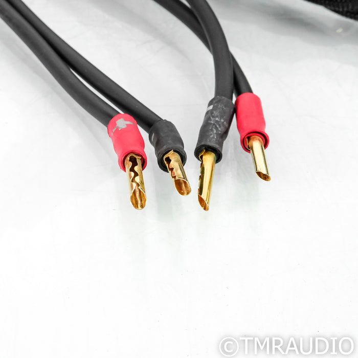 Synergistic Research Atmosphere UEF Level 4 Speaker Cables; 8ft Pair