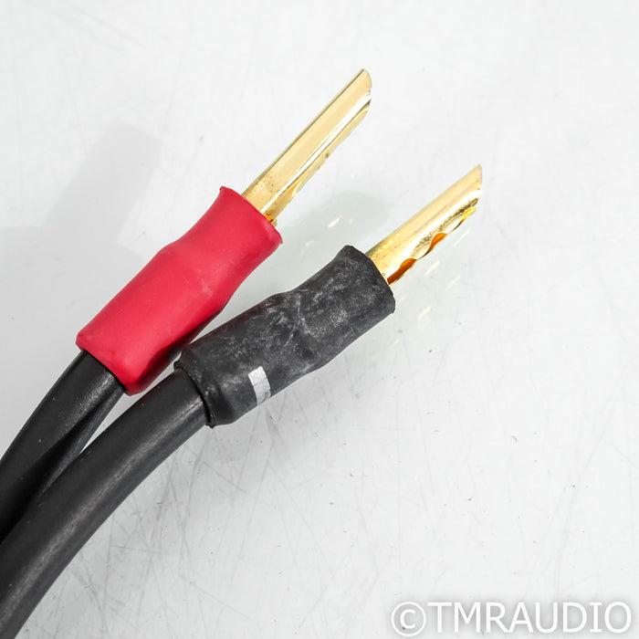 Synergistic Research Atmosphere UEF Level 4 Speaker Cables; 8ft Pair