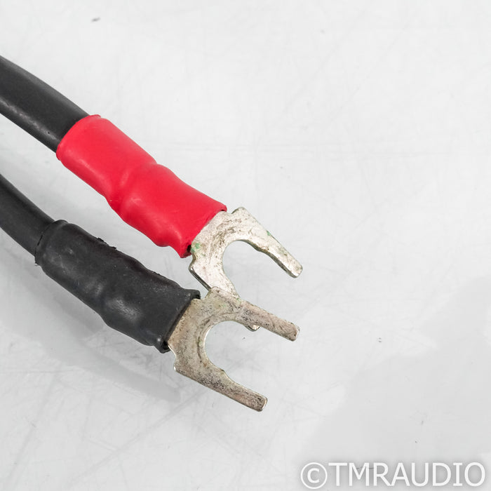 Synergistic Research Element Tungsten W Speaker Cables; 8ft Single