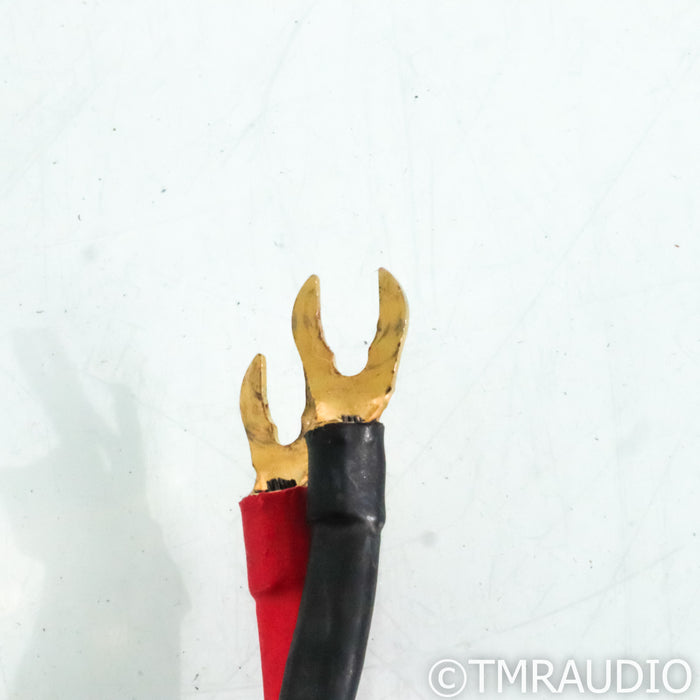 DH Labs Silver Sonic Q-10 Speaker Cables; 3m Pair