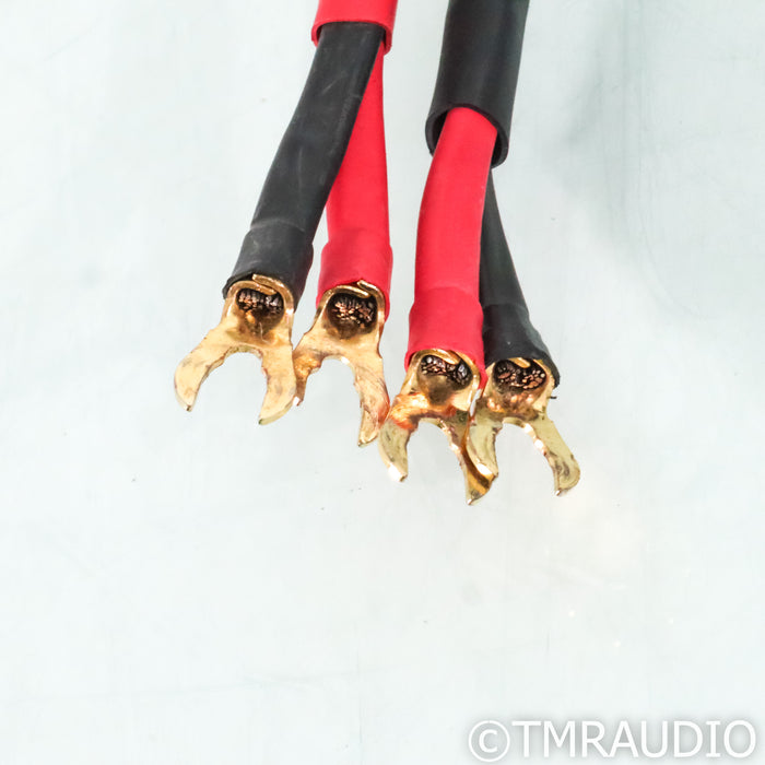 DH Labs Silver Sonic Q-10 Speaker Cables; 3m Pair