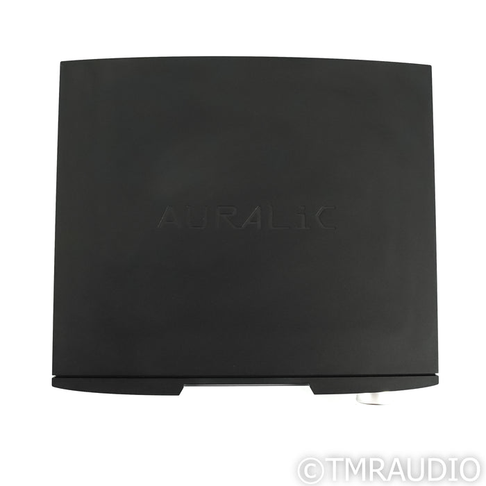 Auralic Aries G1.1 Network Streamer