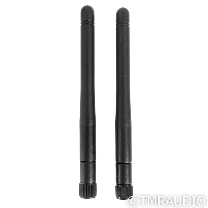 Auralic Aries G1.1 Wireless Network Streamer