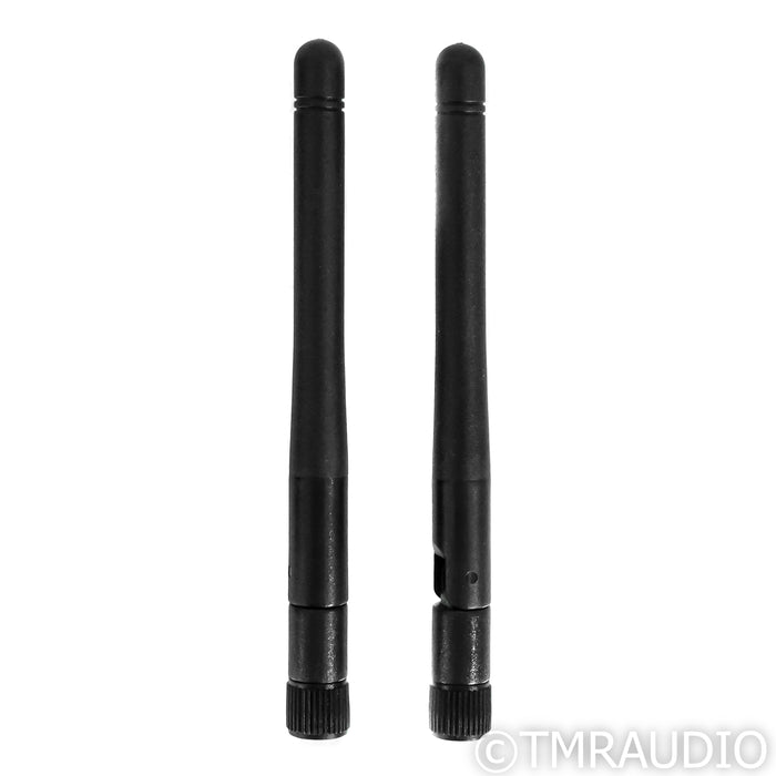 Auralic Aries G2 Wireless Network Streamer