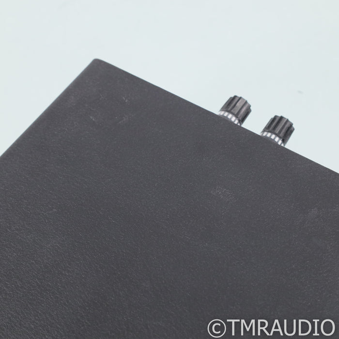 Bel Canto REF500M Monoblock Power Amplifiers; Pair