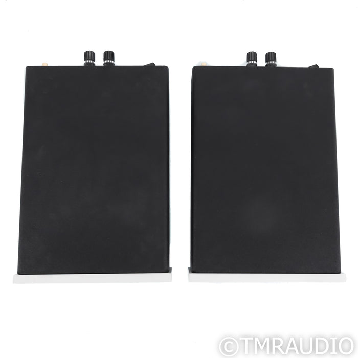Bel Canto REF500M Monoblock Power Amplifiers; Pair