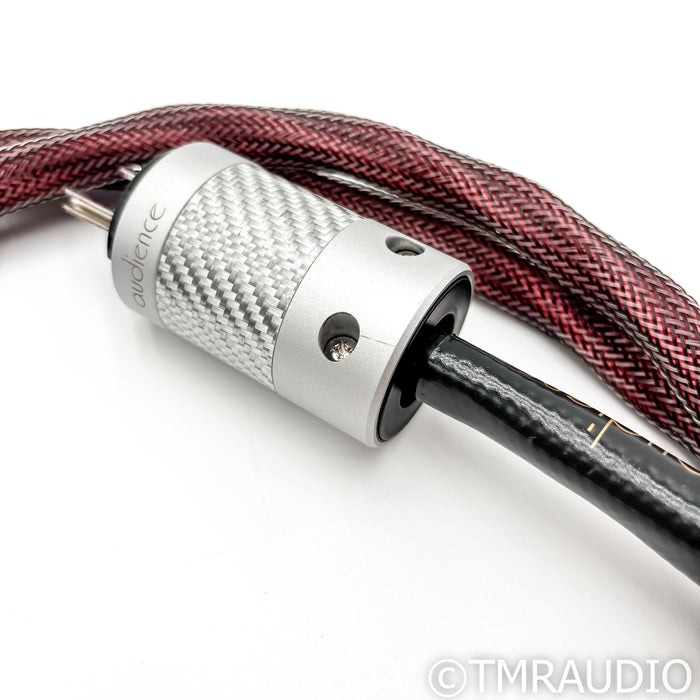 Audience Au24 SE-i powerChord Power Cable; 6ft AC Cord; PowerCon