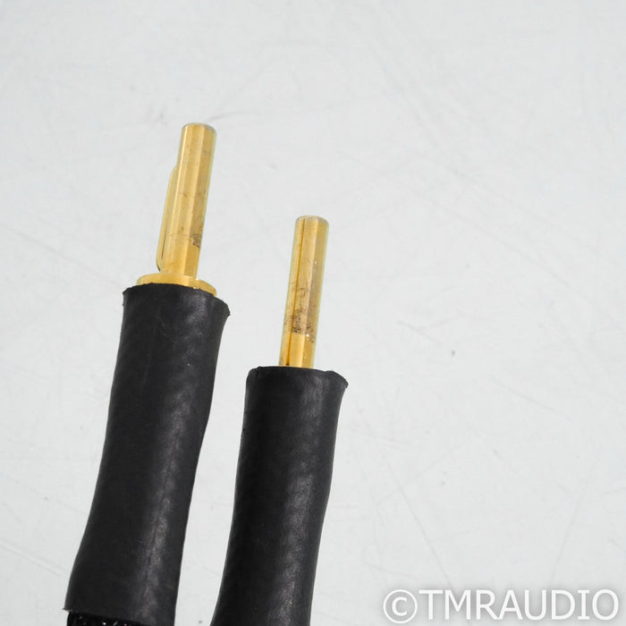 Transparent Audio Super Speaker Cables Gen 5; 8ft Pair Speaker Cables