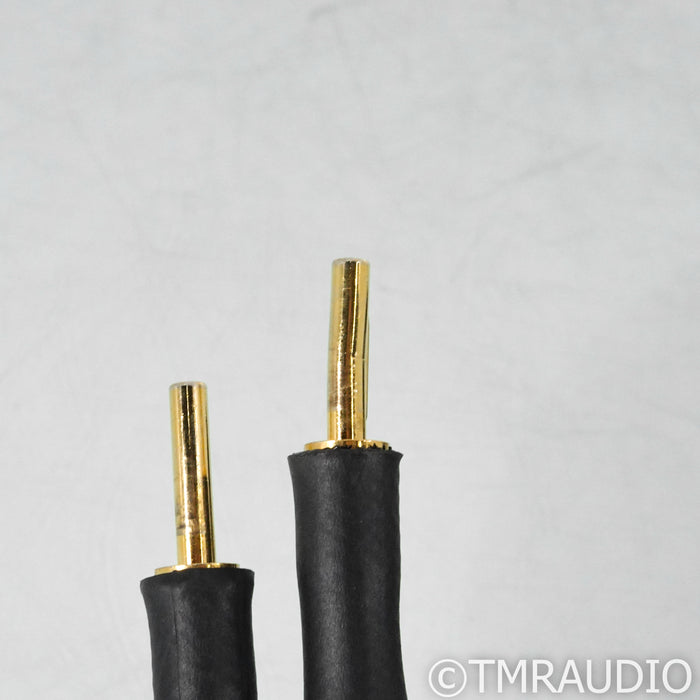 Transparent Audio Super Speaker Cables Gen 5; 8ft Pair Speaker Cables