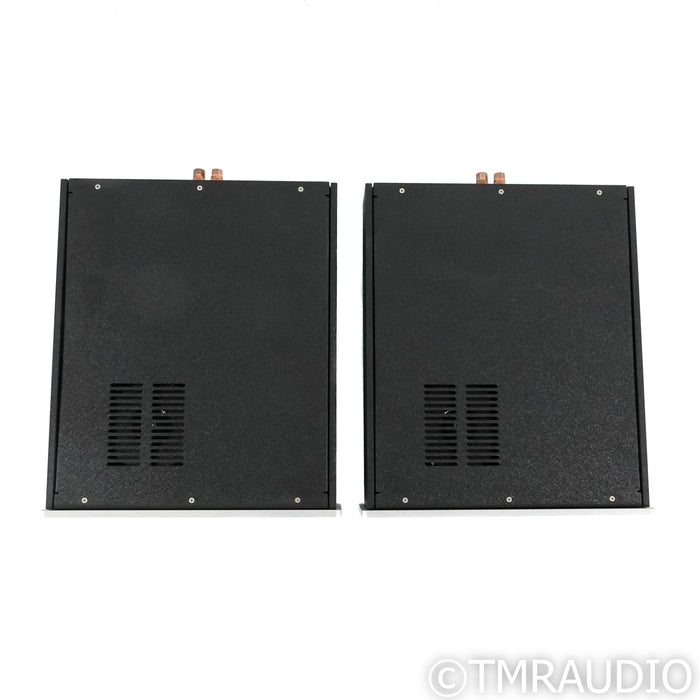 Atma-Sphere Class D Monoblock Power Amplifiers; Pair