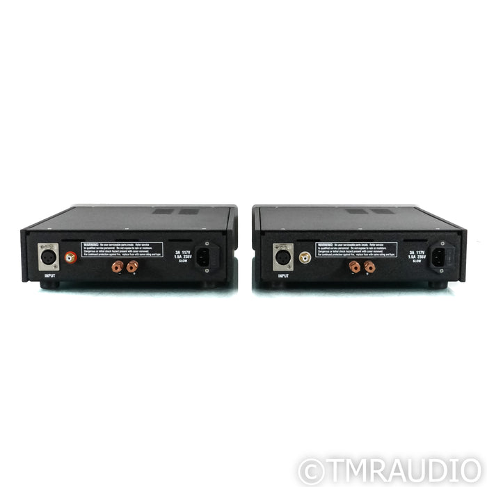 Atma-Sphere Class D Monoblock Power Amplifiers; Pair