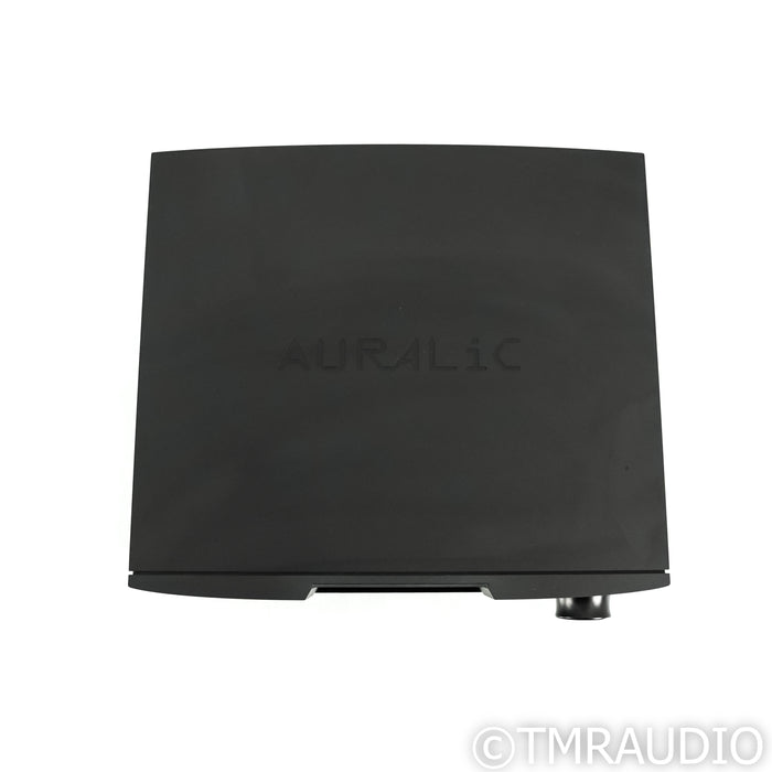 Auralic Vega G2.1 Streaming DAC; D/A Converter
