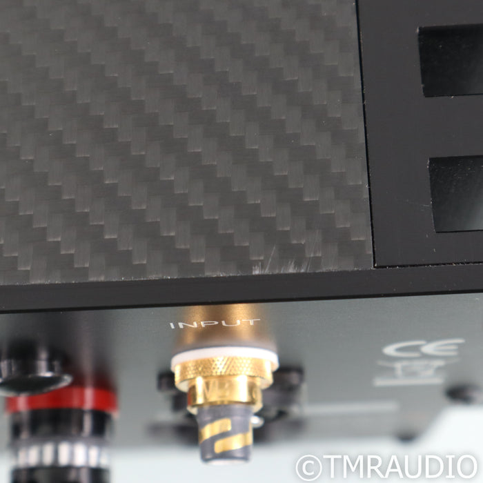 Valvet A4e Monoblock Power Amplifiers with Power Supplies; Pair