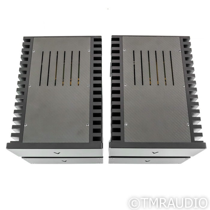Valvet A4e Monoblock Power Amplifiers with Power Supplies; Pair
