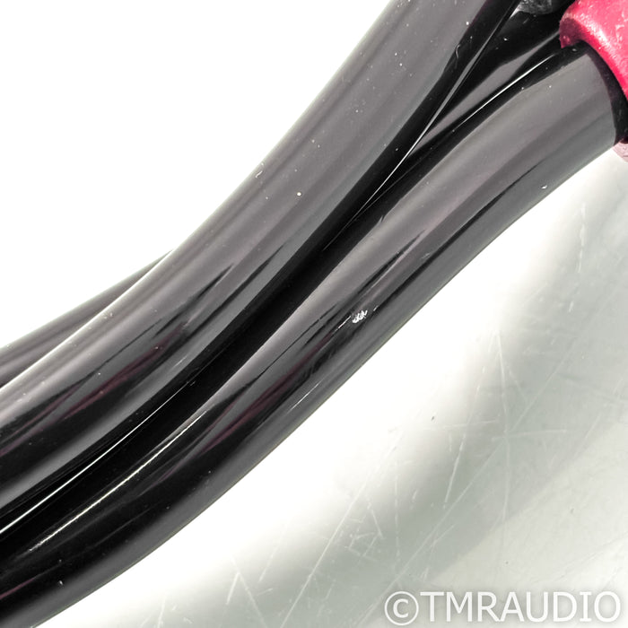 AudioQuest Rocket 33 Bi-Wire Speaker Cables; 10ft Pair