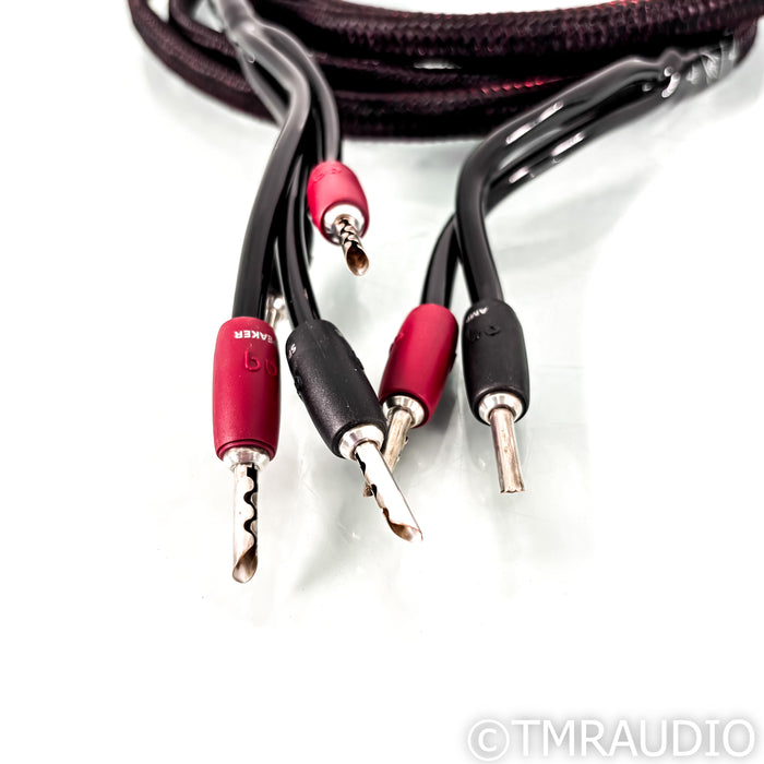 AudioQuest Rocket 33 Bi-Wire Speaker Cables; 10ft Pair