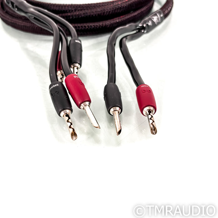 AudioQuest Rocket 33 Bi-Wire Speaker Cables; 10ft Pair