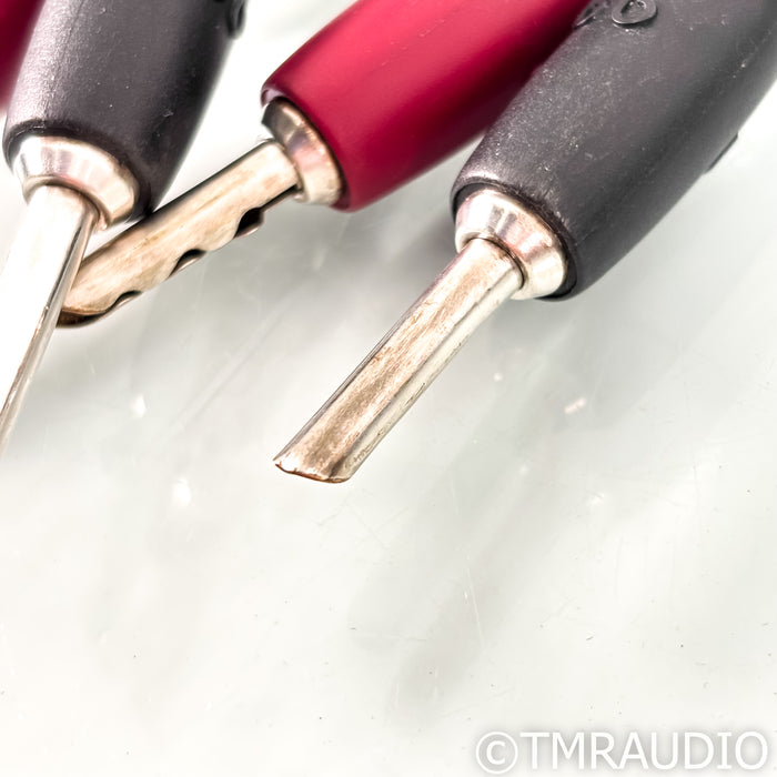 AudioQuest Rocket 33 Bi-Wire Speaker Cables; 10ft Pair