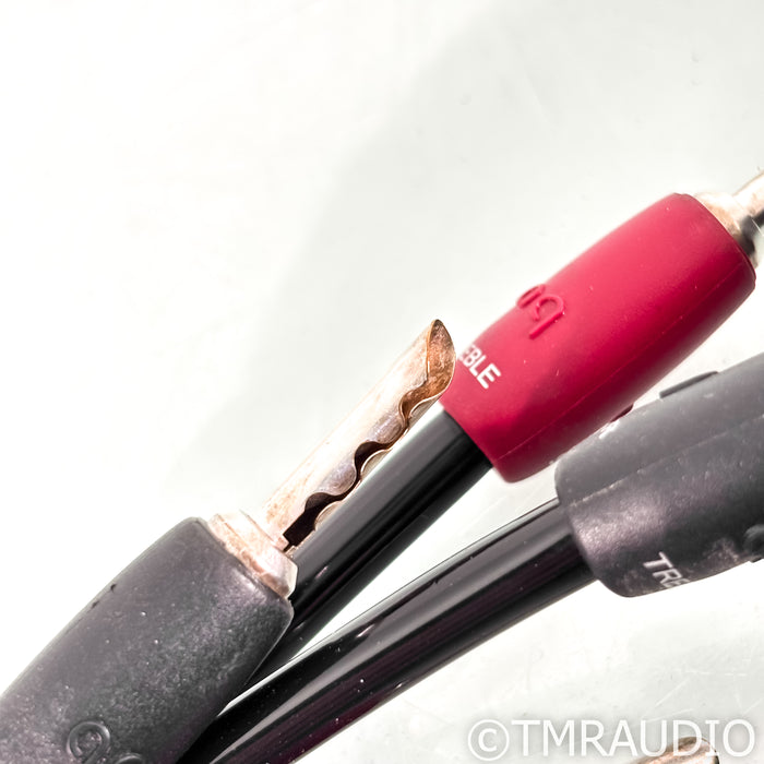 AudioQuest Rocket 33 Bi-Wire Speaker Cables; 10ft Pair