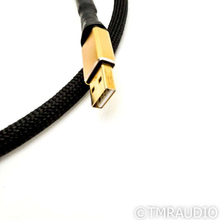Tara Labs Master USB Cable; 1m Digital Interconnect w/ EVO Grounding Station