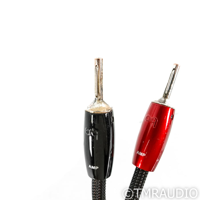 AudioQuest Castle Rock Bi-Wire Speaker Cables; 10ft Pair