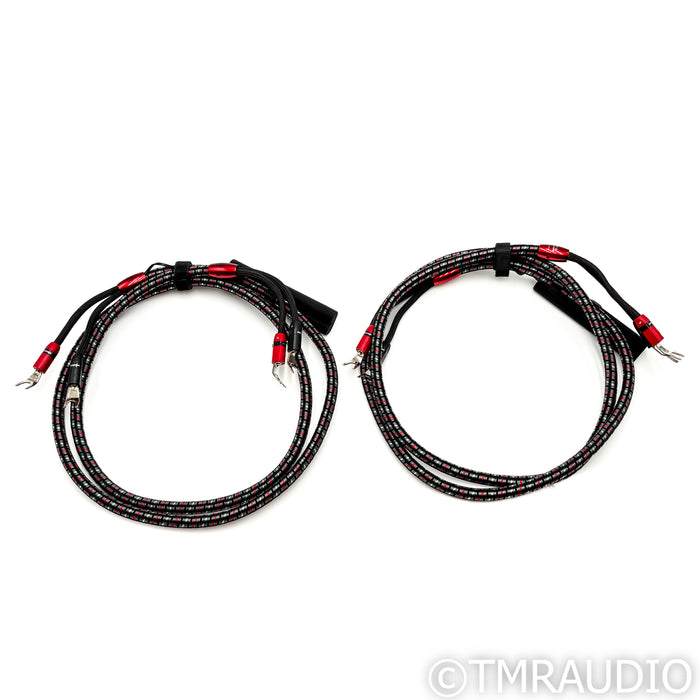 AudioQuest CV-8 Hyperlitz Speaker Cables; 6ft Pair