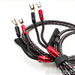AudioQuest CV-8 Hyperlitz Speaker Cables; 6ft Pair