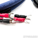 Cardas Clear Cygnus Speaker Cables; 2m Pair