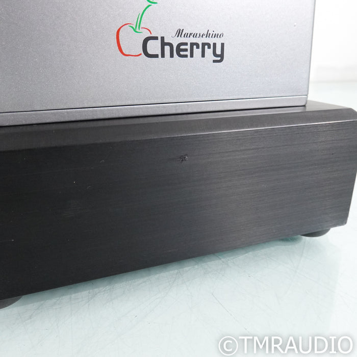 Digital Amplifier Company Maraschino Cherry Monoblock Power Amplifiers; Pair