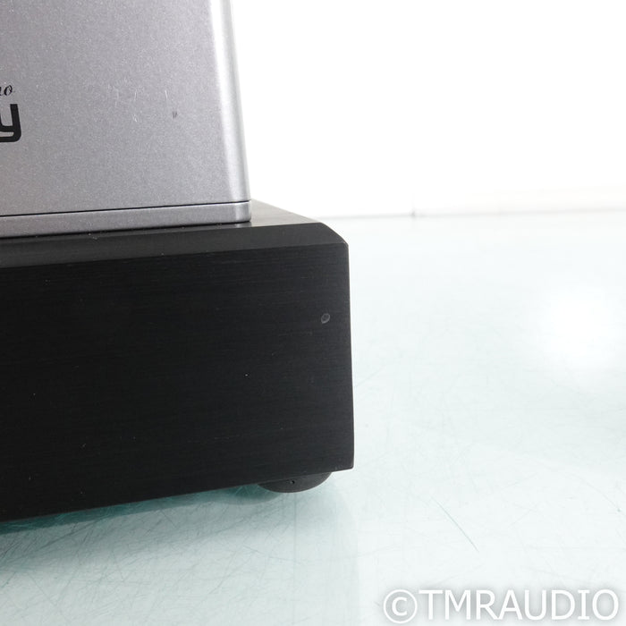 Digital Amplifier Company Maraschino Cherry Monoblock Power Amplifiers; Pair