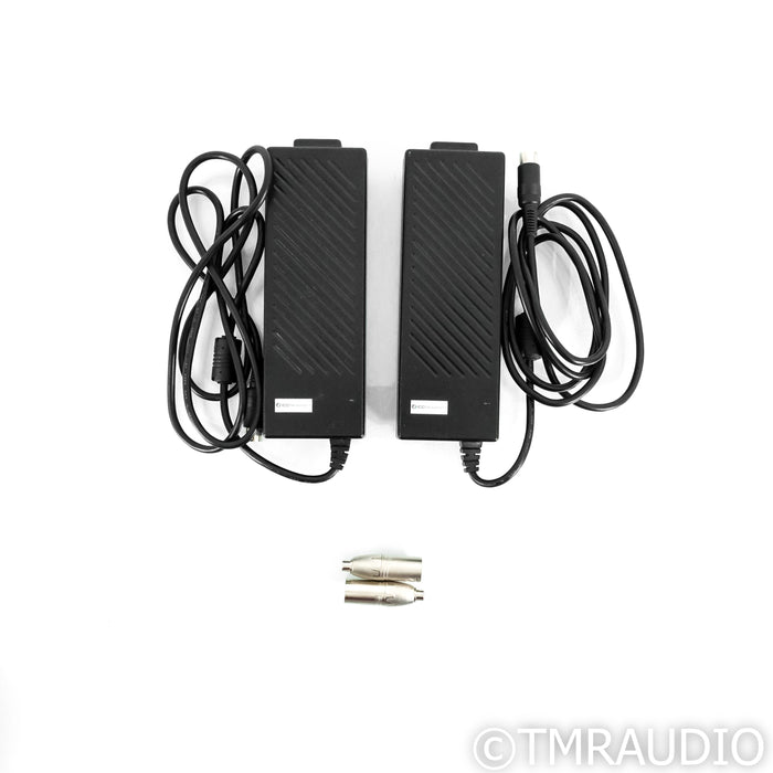Digital Amplifier Company Maraschino Cherry Monoblock Power Amplifiers; Pair