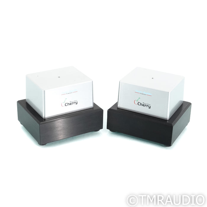 Digital Amplifier Company Maraschino Cherry Monoblock Power Amplifiers; Pair