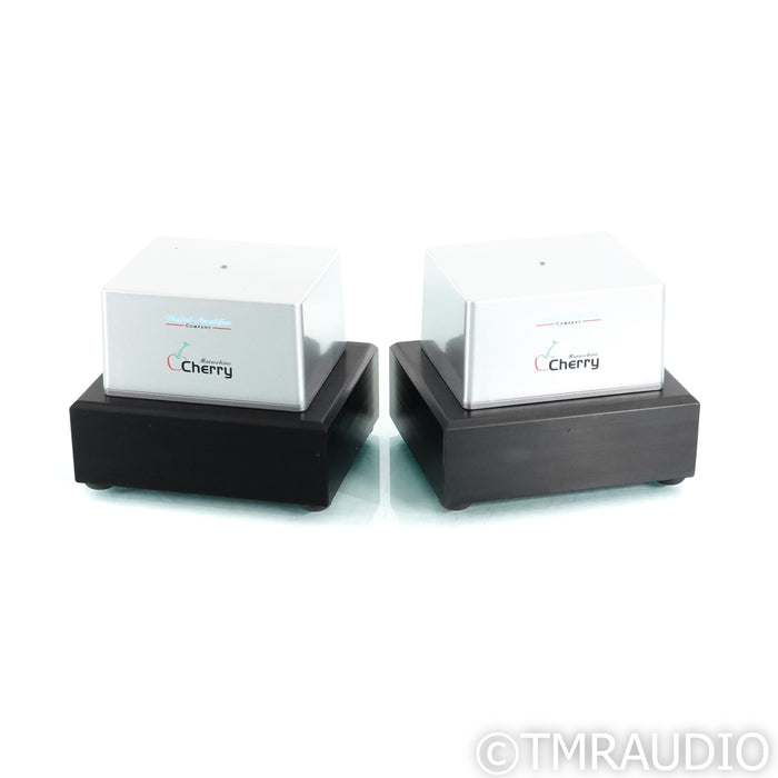 Digital Amplifier Company Maraschino Cherry Monoblock Power Amplifiers; Pair