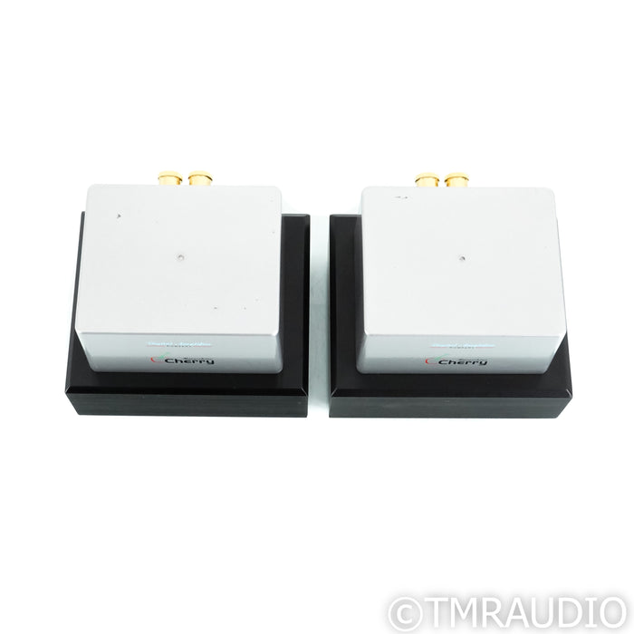 Digital Amplifier Company Maraschino Cherry Monoblock Power Amplifiers; Pair
