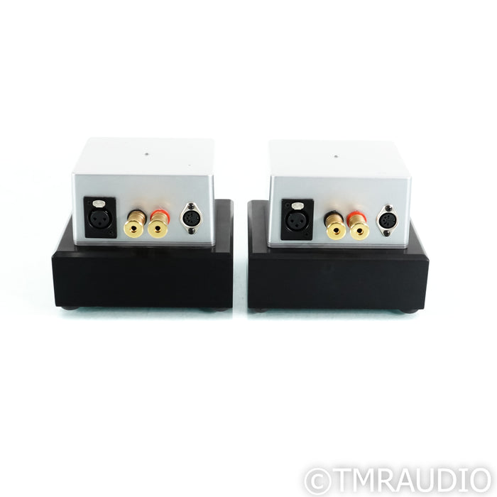 Digital Amplifier Company Maraschino Cherry Monoblock Power Amplifiers; Pair