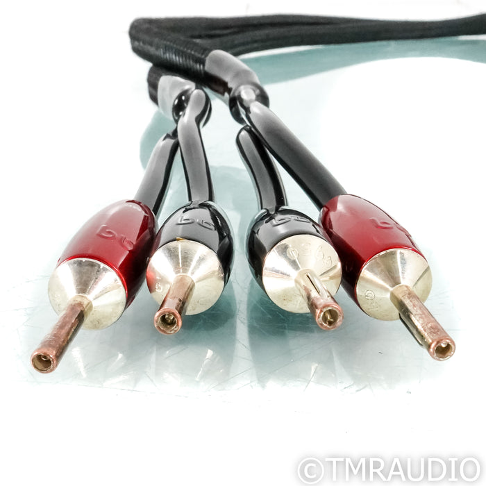 AudioQuest Rocket 88 Speaker Cables; 6ft Pair