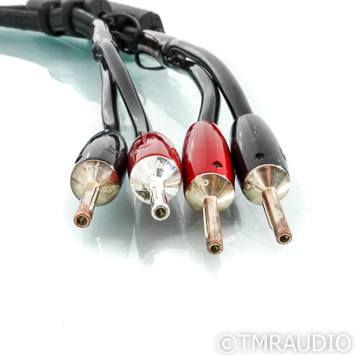 AudioQuest Rocket 88 Speaker Cables; 6ft Pair