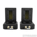 Aperion Audio DST Dual Firing AMT Ribbon Super Tweeters; Pair