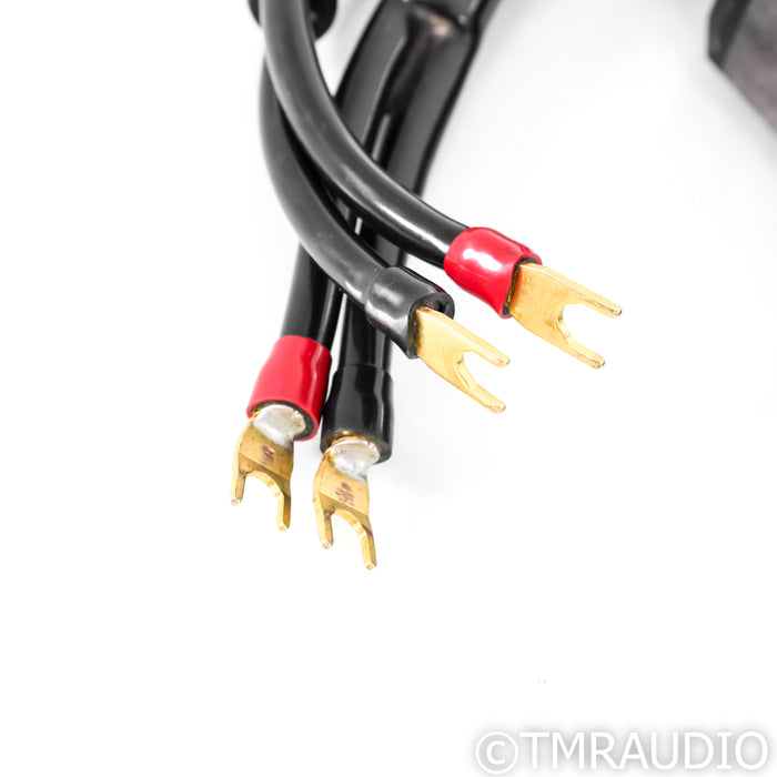 Transparent Audio MusicWave Super XL Speaker Cables; 2.5m Pair