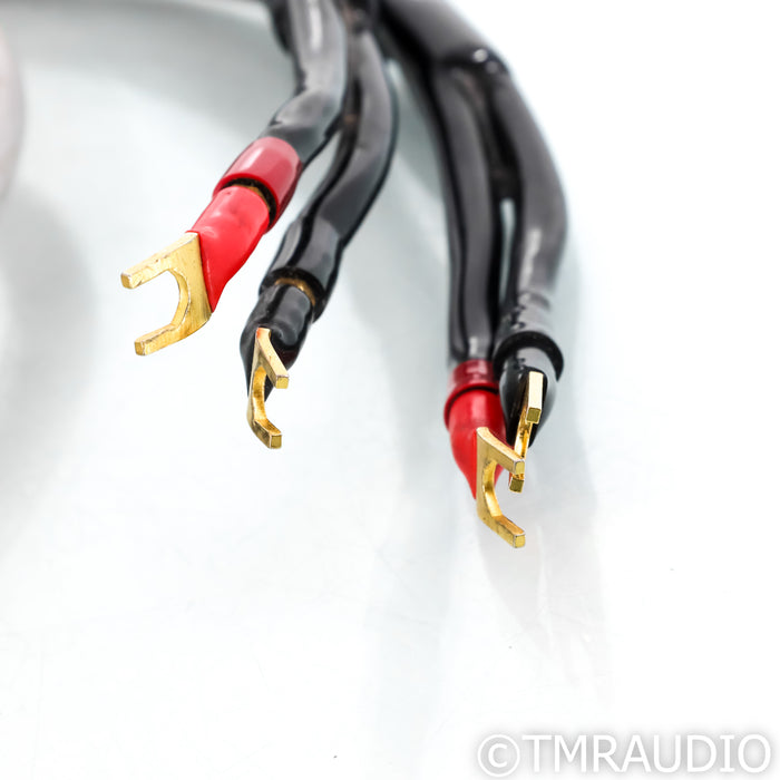 MIT Terminator2 Bi-wire Speaker Cables; 2m Pair