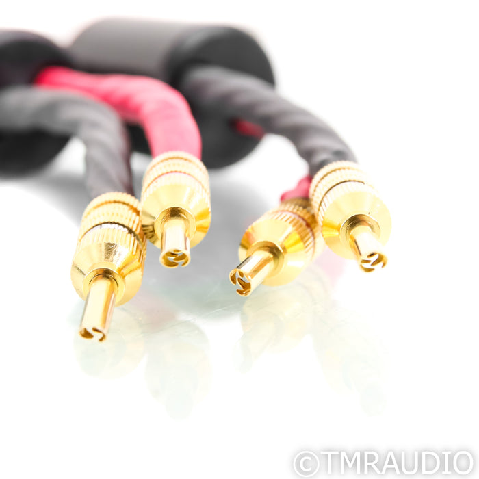 Straight Wire Crescendo 3 Speaker Cables; 4ft Pair