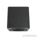 SVS SB-2000 Pro 12" Powered Subwoofer; Black Ash