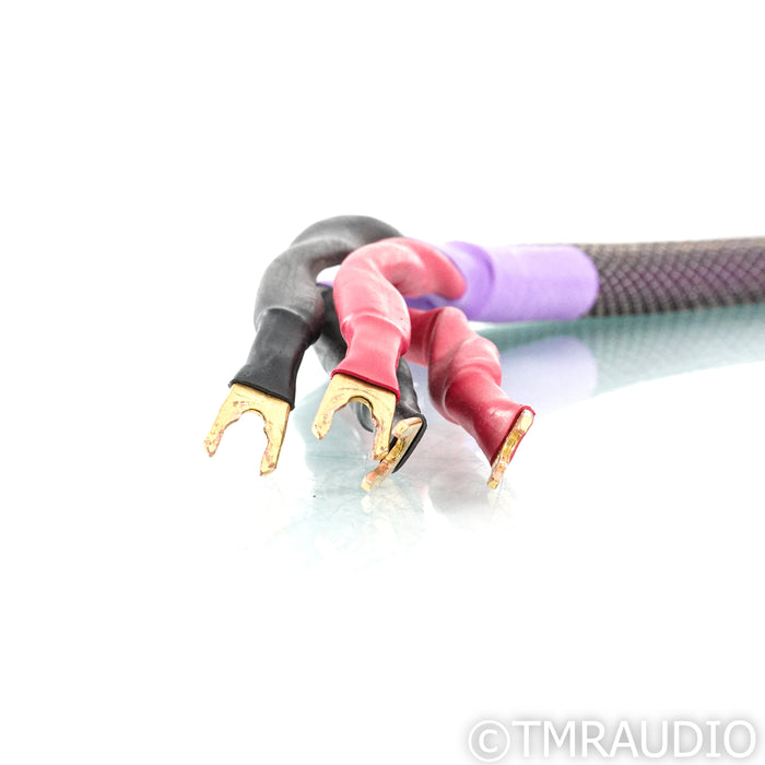 Acoustic Zen Hologram II Bi-Wire Speaker Cables; 8ft Pair