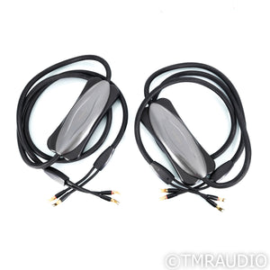 Transparent Audio Reference G6 Speaker Cables; 12ft Pair