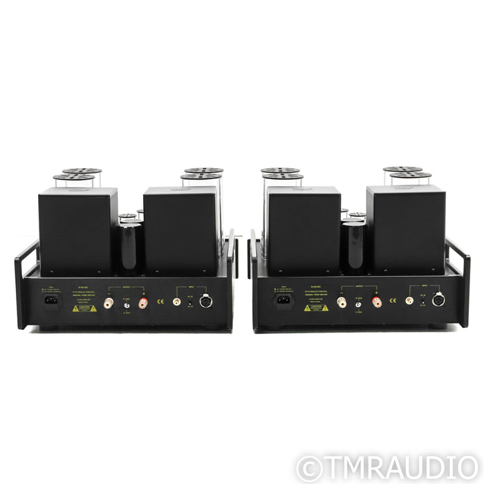 Allnic Audio M-3000 Mk3 Tube Monoblock Power Amplifiers; Pair